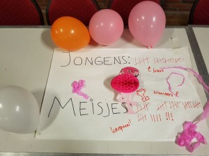 Kamp 2017 dinsdag 11 juli, de meiden winnen de jongens tegen de meiden.jpg