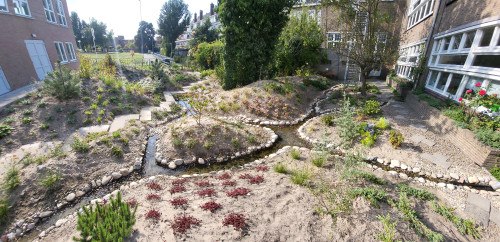 Tuin%20Achilles%20-.jpg