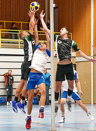 HKD-Meervogels-A1.PNG